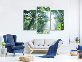 modern-3-piece-canvas-print-jungle-star