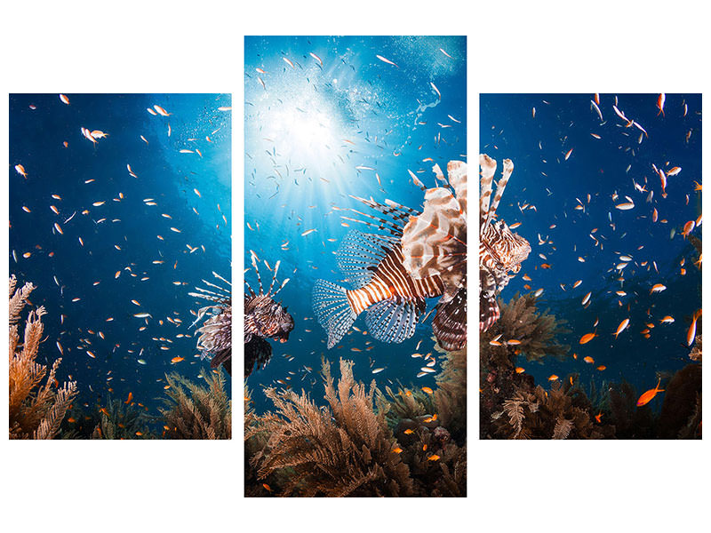 modern-3-piece-canvas-print-lionfish-ii