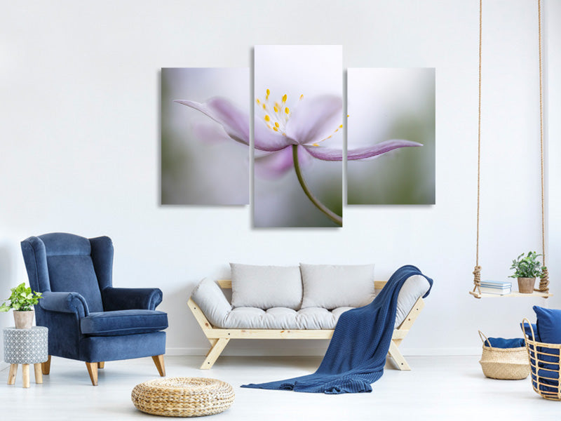 modern-3-piece-canvas-print-nemorosa-ii