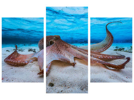 modern-3-piece-canvas-print-octopus