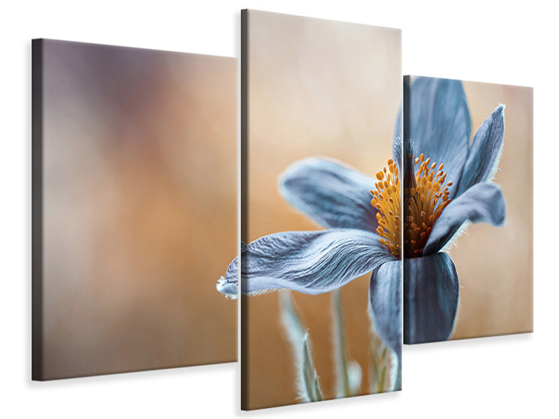 modern-3-piece-canvas-print-pasque