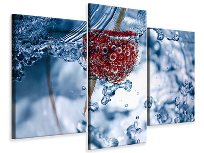 modern-3-piece-canvas-print-raspberry-in-the-water