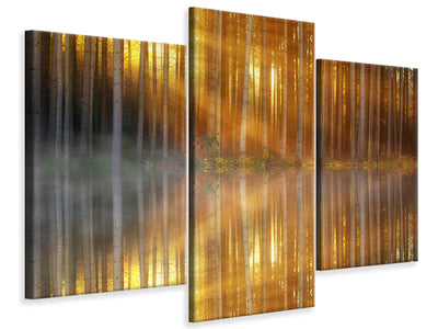 modern-3-piece-canvas-print-romantic-mood-in-the-forest