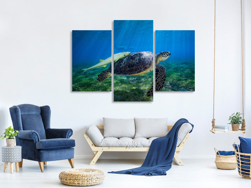 modern-3-piece-canvas-print-sea-turtle