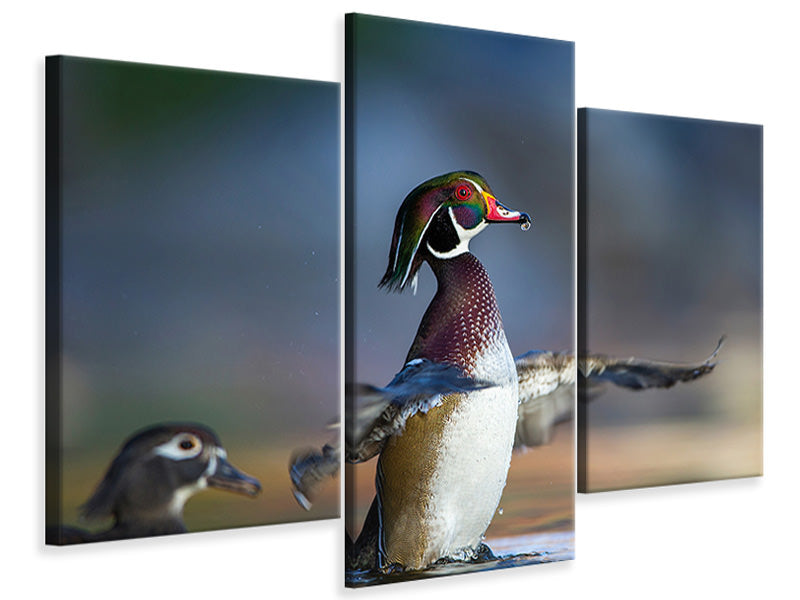 modern-3-piece-canvas-print-showing-off