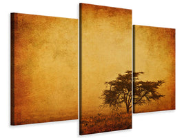 modern-3-piece-canvas-print-sunset-mood