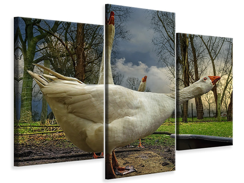 modern-3-piece-canvas-print-the-3-geese