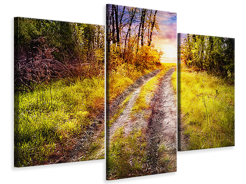 modern-3-piece-canvas-print-the-forest-path