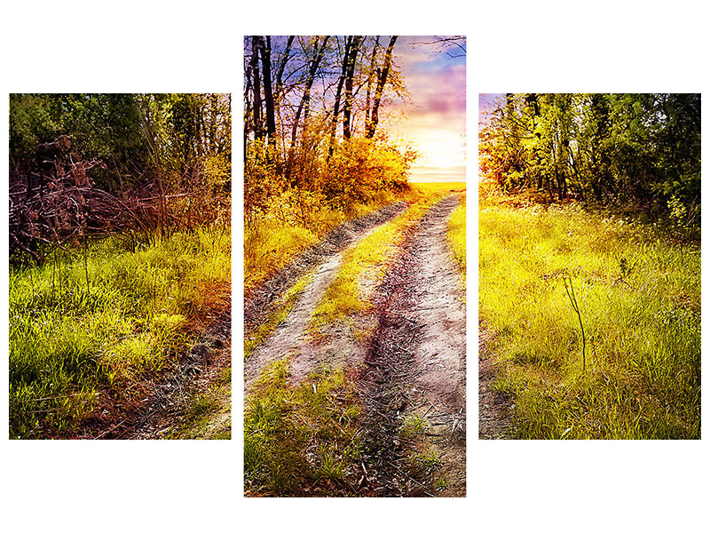 modern-3-piece-canvas-print-the-forest-path