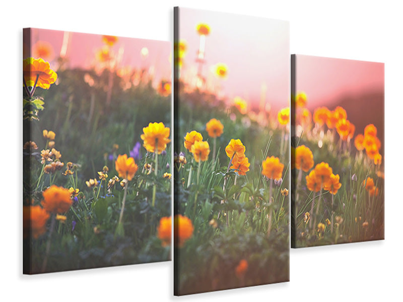 modern-3-piece-canvas-print-the-mountain-meadow