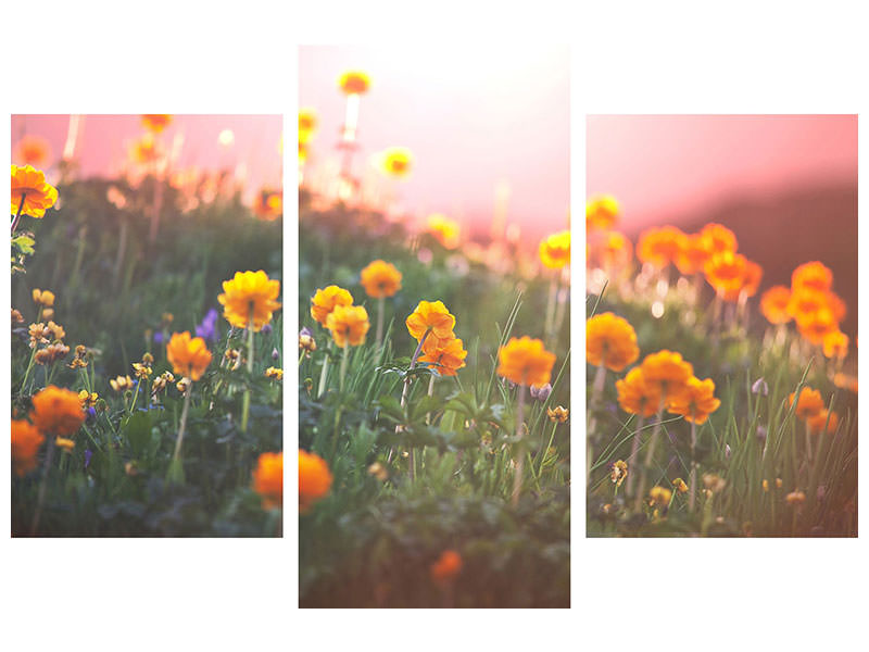 modern-3-piece-canvas-print-the-mountain-meadow