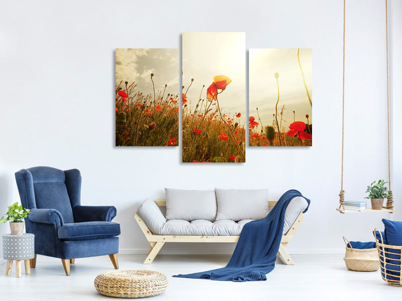 modern-3-piece-canvas-print-the-poppy-field-at-sunrise