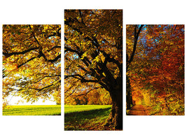 modern-3-piece-canvas-print-trees-in-the-autumn