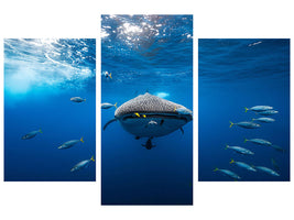 modern-3-piece-canvas-print-whale-shark-escorted-by-a-school-of-bonito