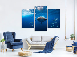 modern-3-piece-canvas-print-whale-shark-escorted-by-a-school-of-bonito