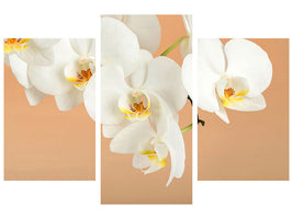 modern-3-piece-canvas-print-white-orchid-flowers