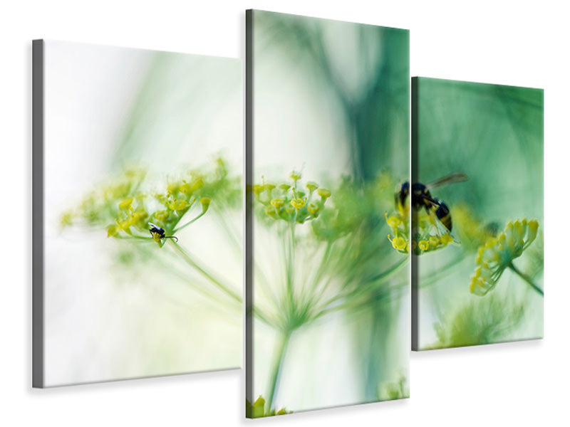 modern-3-piece-canvas-print-xxl-parsnip