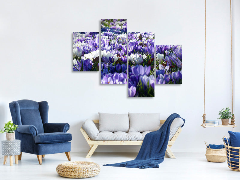 modern-4-piece-canvas-print-a-field-full-of-crocuses