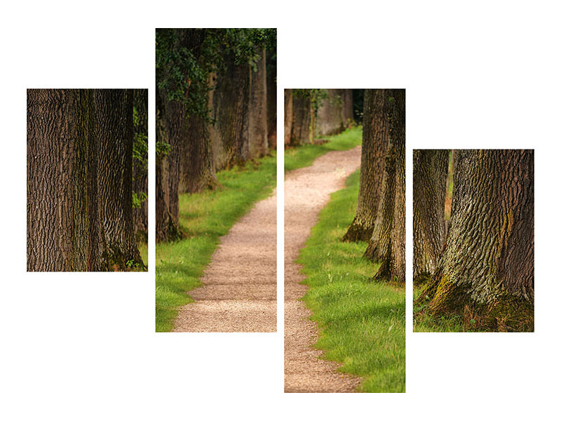 modern-4-piece-canvas-print-a-path-in-the-forest