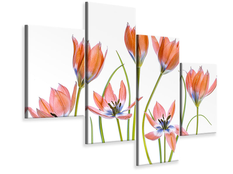 modern-4-piece-canvas-print-apricot-tulips