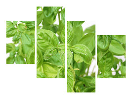 modern-4-piece-canvas-print-basil-in-xxl