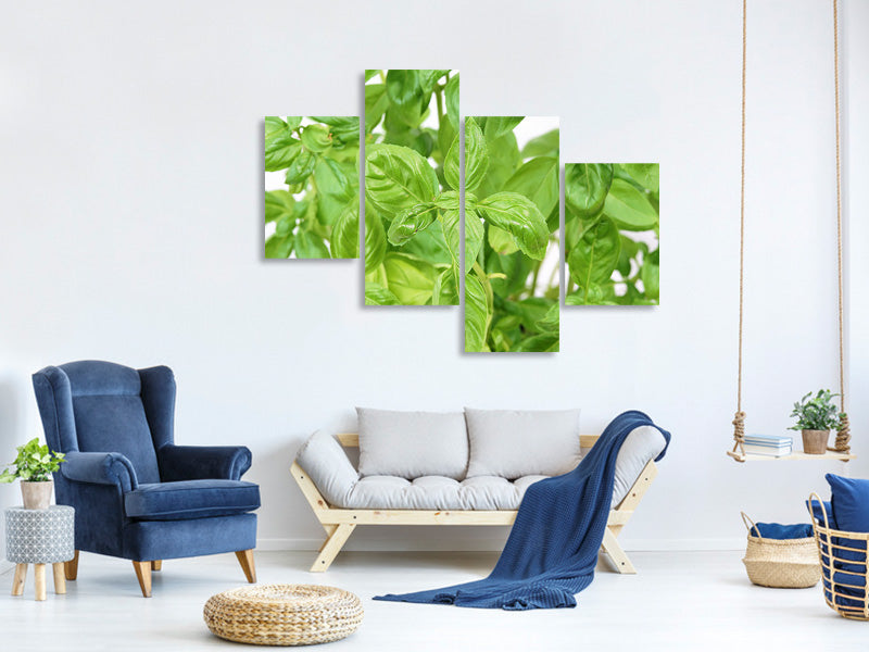 modern-4-piece-canvas-print-basil-in-xxl