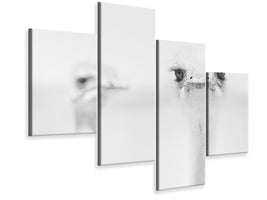 modern-4-piece-canvas-print-funny-ostrich