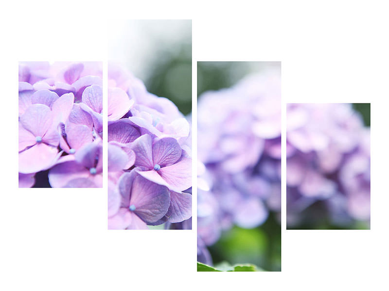 modern-4-piece-canvas-print-hydrangeas