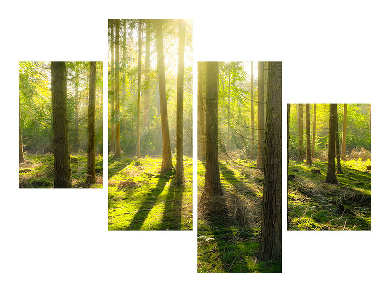 modern-4-piece-canvas-print-in-the-middle-of-the-woods