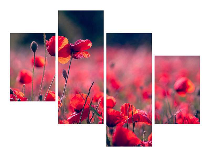 modern-4-piece-canvas-print-in-the-poppy-field