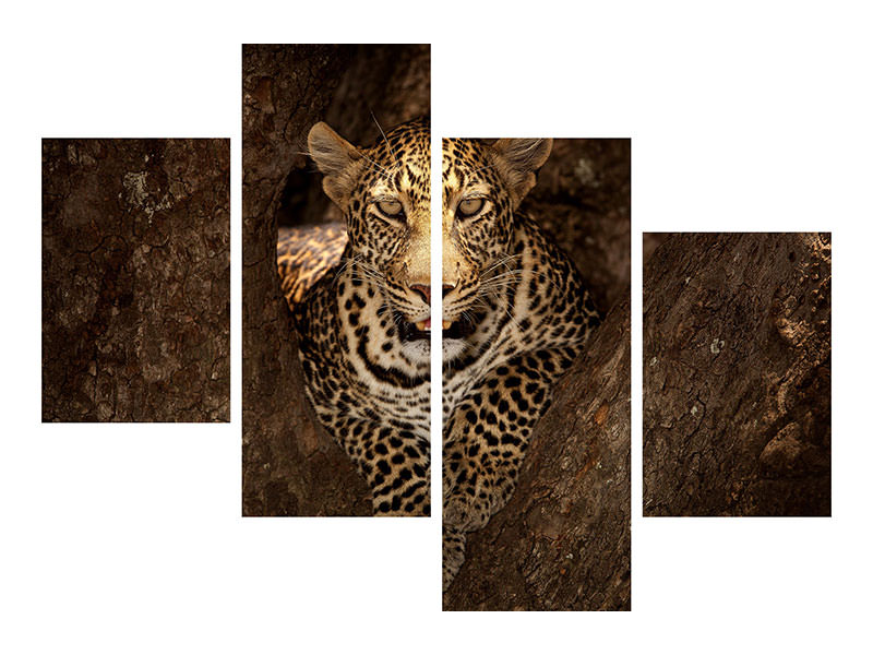 modern-4-piece-canvas-print-leopard-resting-on-a-tree-at-masai-mara