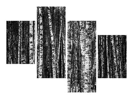 modern-4-piece-canvas-print-many-birches-xl