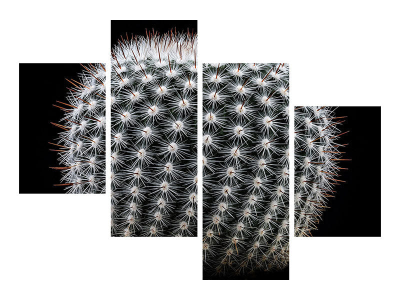 modern-4-piece-canvas-print-notocactus-scopa-ii