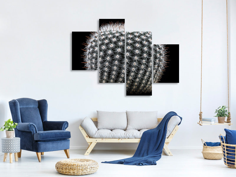 modern-4-piece-canvas-print-notocactus-scopa-ii