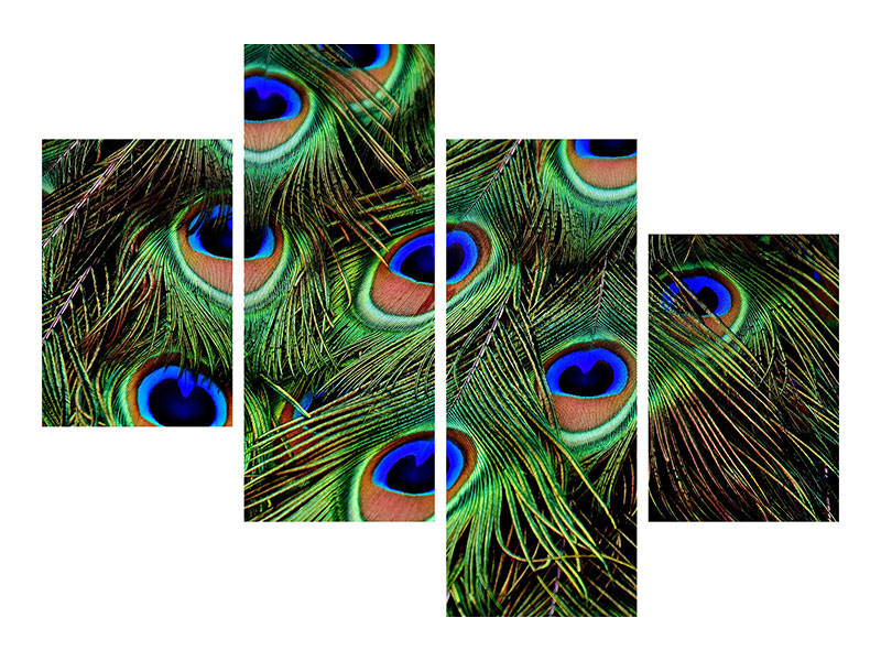 modern-4-piece-canvas-print-peacock-feathers-xxl