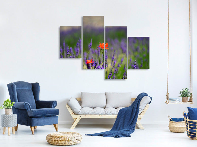 modern-4-piece-canvas-print-poppy-in-the-lavender