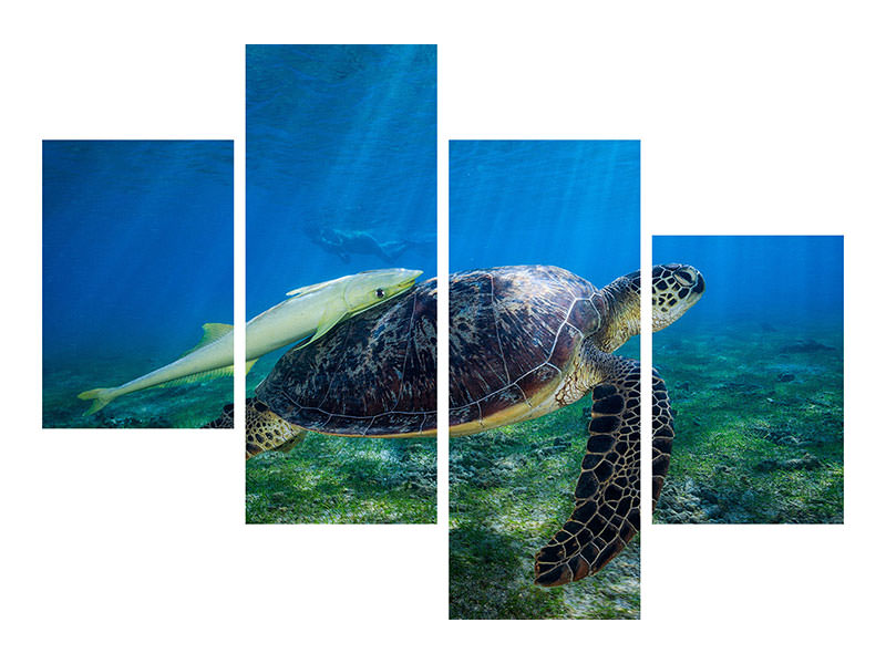 modern-4-piece-canvas-print-sea-turtle