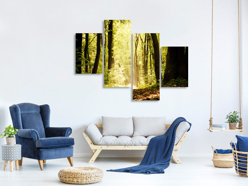 modern-4-piece-canvas-print-sunrise-in-the-forest