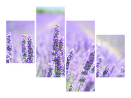 modern-4-piece-canvas-print-the-lavender-blossom