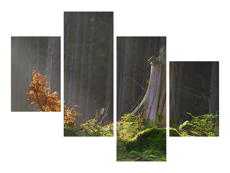 modern-4-piece-canvas-print-the-magic-in-the-forest