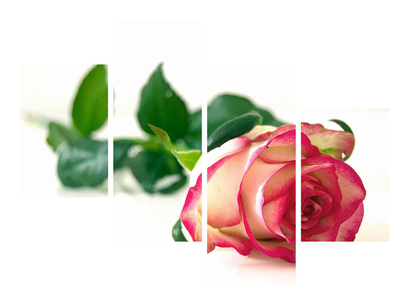 modern-4-piece-canvas-print-the-proud-rose