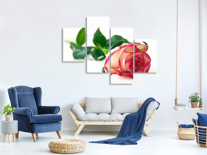 modern-4-piece-canvas-print-the-proud-rose