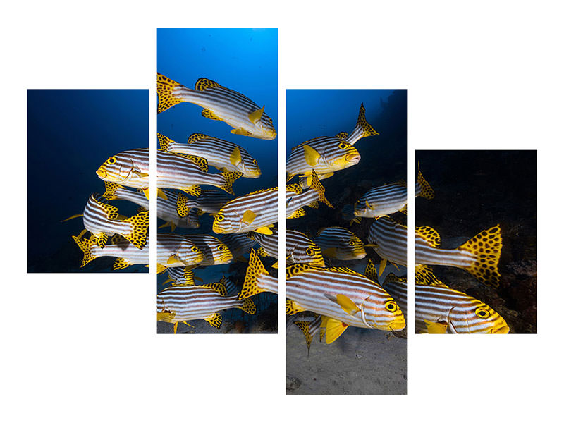 modern-4-piece-canvas-print-underwater-photography-indian-ocean-sweetlips