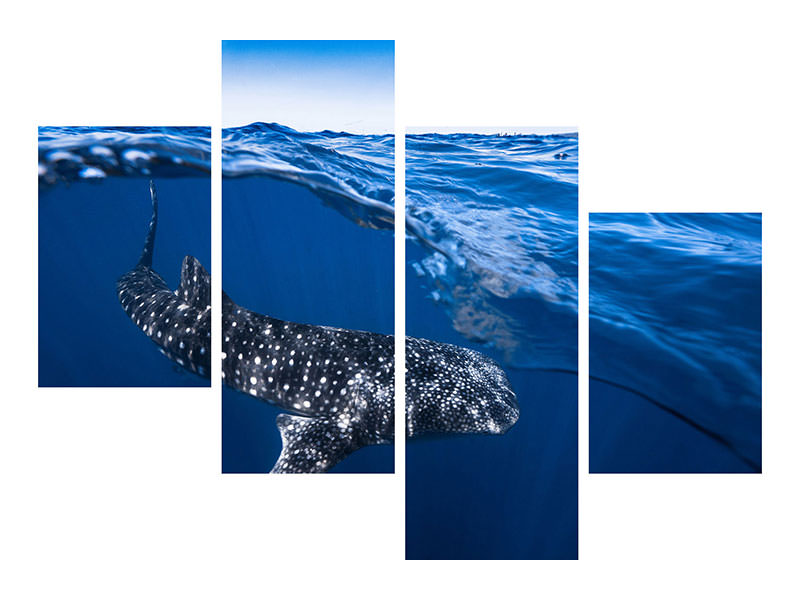 modern-4-piece-canvas-print-whale-shark-on-split-level