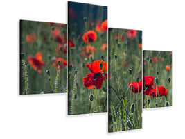 modern-4-piece-canvas-print-wild-poppy