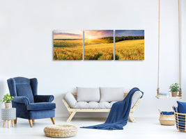 panoramic-3-piece-canvas-print-a-flower-field-at-sunrise