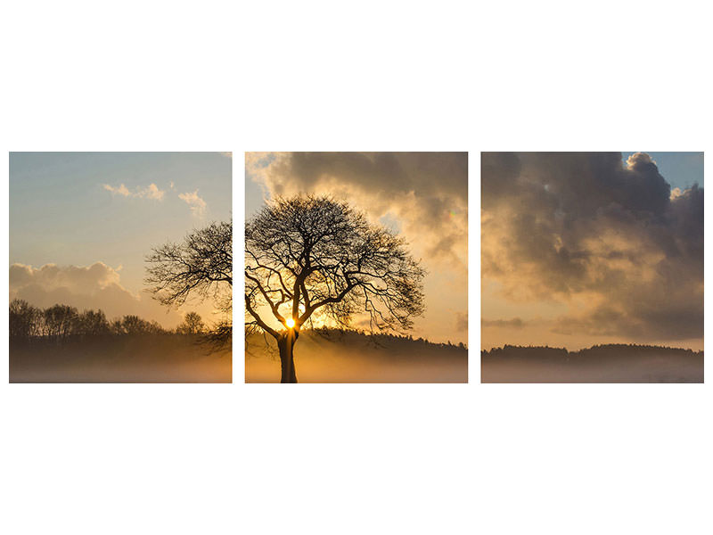 panoramic-3-piece-canvas-print-a-lonely-tree