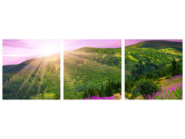 panoramic-3-piece-canvas-print-a-summer-landscape-at-sunrise