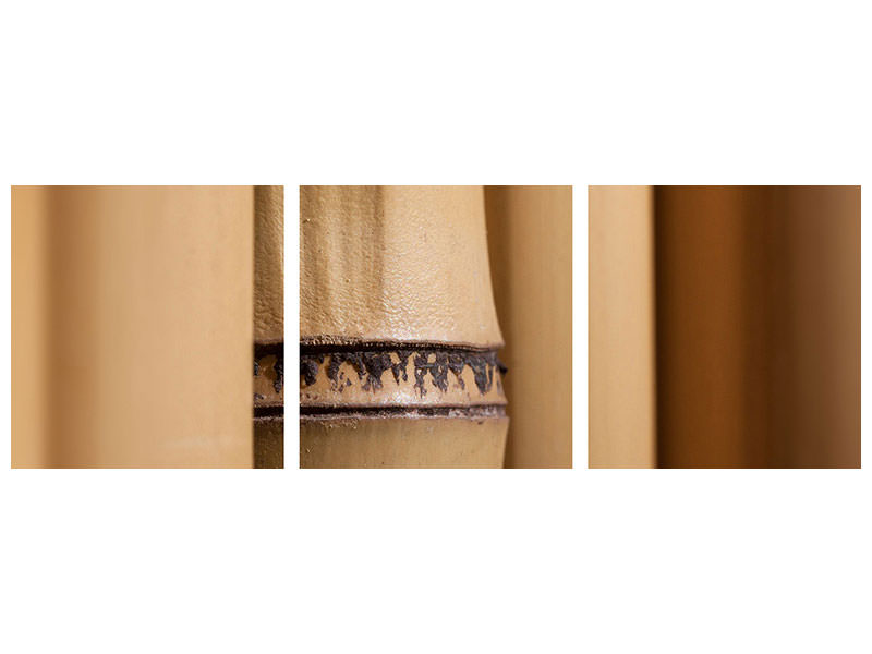 panoramic-3-piece-canvas-print-bamboo-close-up