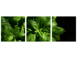 panoramic-3-piece-canvas-print-basil-in-xl